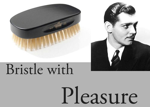 bristle-with-pleasure