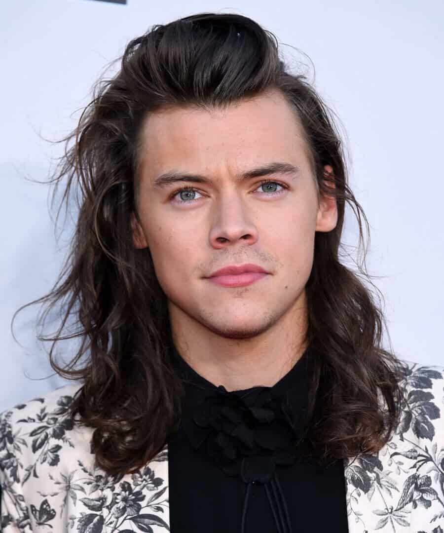 Harry Styles shoulder-length hair
