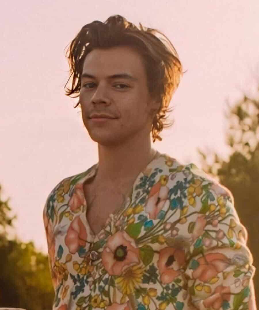 Harry Styles loose, dishevelled long hairstyle for Gucci campaign