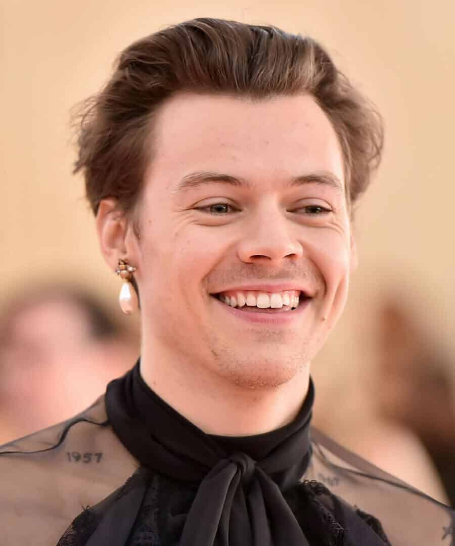Harry Styles long sweep back hairstyle