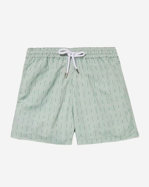 Frescobol Carioca Straight-Leg Short-Length Printed Swim Shorts