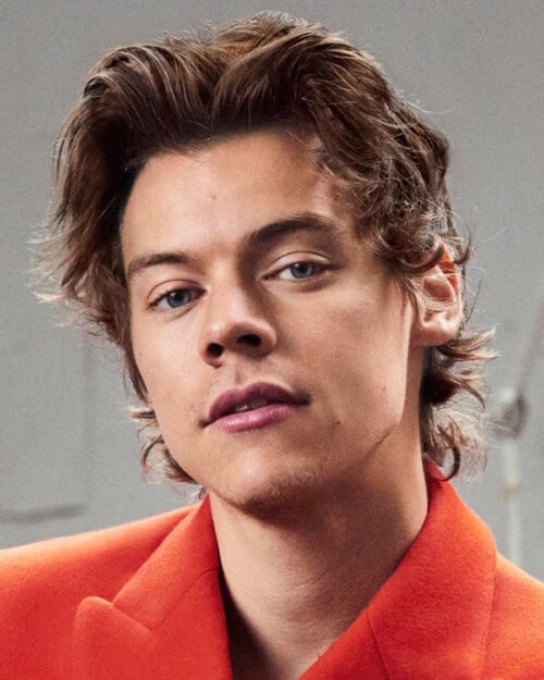 Harry Style wavy mid-length hair with middle parting