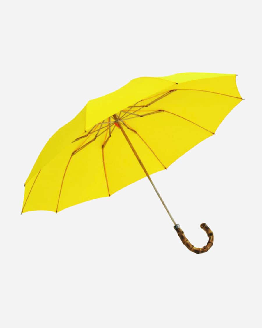 10 Luxury Umbrella Brands That Are Worth The Money (2024)